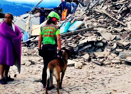 A proposito del terremoto