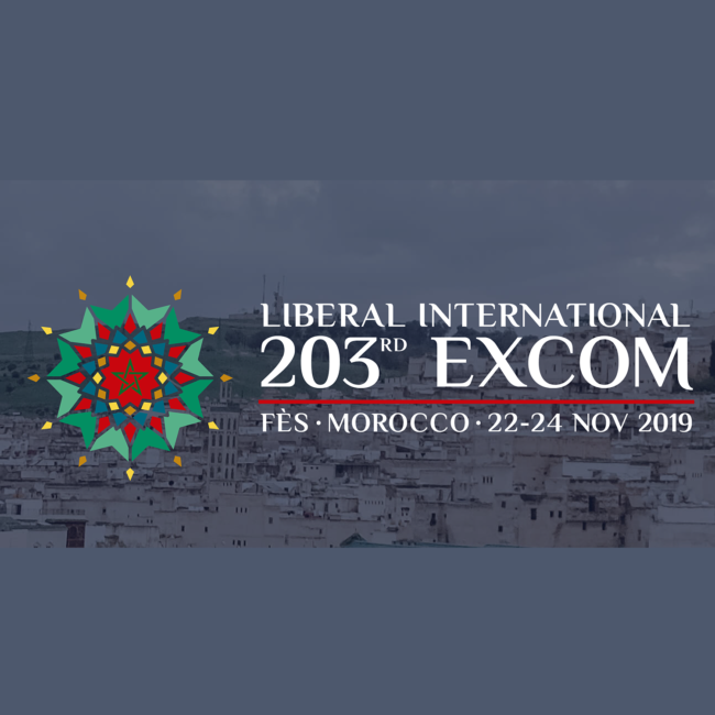 Il 203° meeting del Comitato Esecutivo di Liberal International a Fes, Marocco