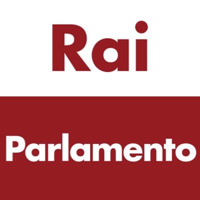 RAI Parlamento, confronto pomeridiano del 24 Agosto 2020