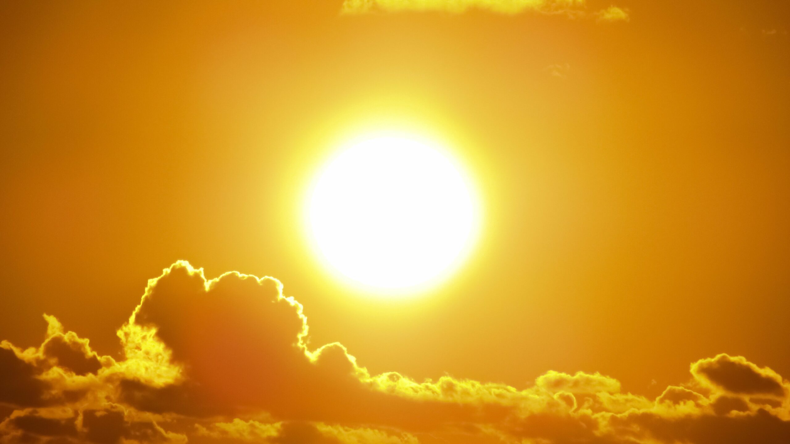 Fa caldo Fa caldo